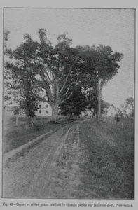 1912 DEUX PHOTOGRAPHIES IMPRIMÉS J.B. PROVENCHER GRANGE &MAISON - Picture 1 of 2