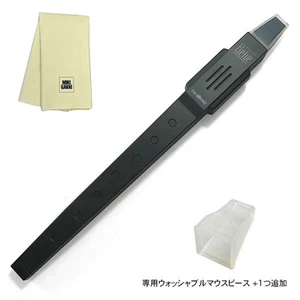 TAHORNG Elehue EF10 Black ElectronicRecorder+WashableMouthpiece+CleaningClothSet - Picture 1 of 3