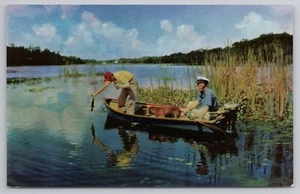 Fishing - A Favorite Sport in Florida FL Postcard - Picture 1 of 2