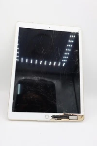 Apple iPad Pro 12.9 Gold WiFi 1.Gen. A1584 32GB AKTIVIERUNGSSPERRE #4733 - Bild 1 von 5