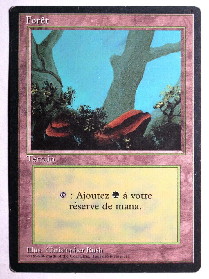 French Forest (177) Light play FBB/Foreign Black Bordered  Mtg Magic - Image 1 of 1