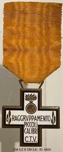 RAGGRUPPAMENTO PICCOLI CALIBRI CTV CROCE OPERAZIONI MILITARI IN SPAGNA 1937.1938 - Picture 1 of 4