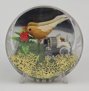 Gilde Terrarium Vogelkäfig solarbetrieben Spieluhr Zylinderform Acrylkoffer - Bild 1 von 18