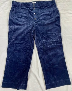 Free Assembly Navy Blue Corduroy Pants Front Square Pockets Plus 22 Stretch NWT - Picture 1 of 14
