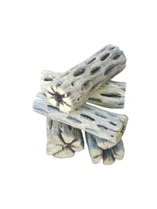 5 piezas de madera Cholla de 3" | Isópodos | Invertebrados | Peceras | Recintos |... - Imagen 1 de 1