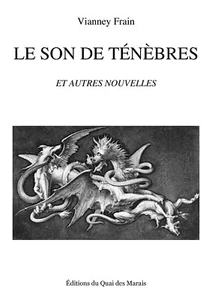 Le son de ténèbres et autres nouvelles de Vianney Frain - Bild 1 von 2