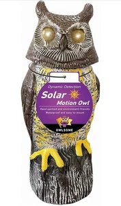 Solareule mit leuchtenden Augen, rotierendem Kopf, Hoot Sound, Bewegungsmelder und S... - Bild 1 von 7