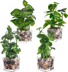 4x Artificial Desk Plants with Clear Pots – Realistic Greenery for Indoor Decor - Picture 1 of 6