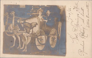 RPPC Studio Photo Hot Springs Arkansas Ostrich Wagon Cut Out Woman 1906 - Picture 1 of 2