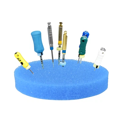 HOUSE BRAND 50 Premium Endodontic 2.5" Round Blue Sponge Foam Cushions for Dental Endo Files
