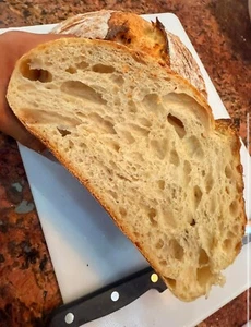 STRONG Sourdough Starter Bread San Francisco - Live 200yrs Old BEST SELLER! Easy - Picture 1 of 6