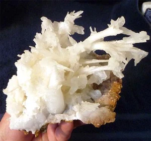 INSPIRING! 6.75" Snow White Aragonite Crystals Bloom 962 grams! - Picture 1 of 1