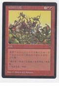 MTG CHINESE VISIONS RELENTLESS ASSAULT MINT MAGIC THE GATHERING RED RARE ASIAN