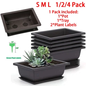 Plastic Bonsai Training Pots w/ Trays Plant Labels Rectangle Plants Growing Pot - Picture 1 of 16