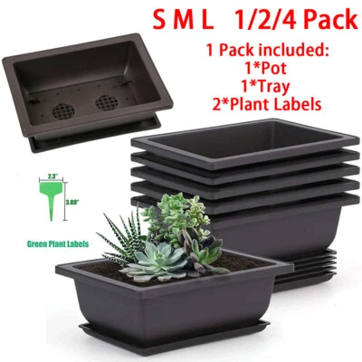 Plastic Bonsai Training Pots w/ Trays Plant Labels Rectangle Plants Growing Pot - Image 1 of 4