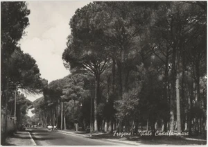 FREGENE - VIALE CASTELLAMMARE - FIUMICINO (ROMA) 1958 - Picture 1 of 1