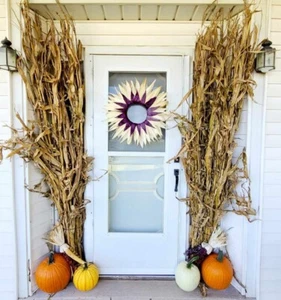 36" Dried Corn Stalks Bundle Fall Decor Thanksgiving Halloween Wedding - Picture 1 of 4
