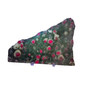 Rubí en fucsita, India, cianita, losa, cabing áspero, #R-6504 - Imagen 1 de 12