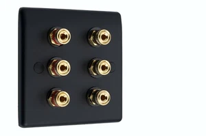 Speaker Wall Plate Matt Black 6 Gold Binding Posts AV Audio Non-solder - Picture 1 of 4
