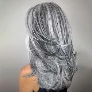 Grey Long Layered Wigs for Women Highlight Silver Wavy Gray Wigs Natural Synthet - Picture 1 of 12