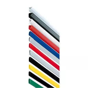 DORSETTI LISTELLI PLASTICA PER RILEGATURA DA 6 MM CF 100 DORSETTI - Foto 1 di 1