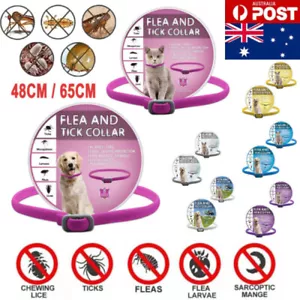 8 Months Protection Anti Insects Flea and Tick Collar For Pet Dog Cat Adjustable - Picture 1 of 20