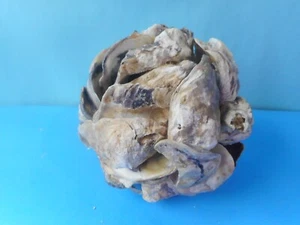 Small 4" Oyster Shell Decorative Ball/Orb - Picture 1 of 2