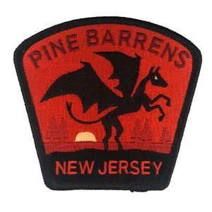 Pine Barrens, New Jersey Travel Patch - Picture 1 of 3