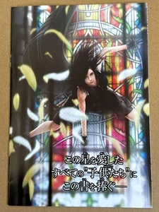 Ff7 Extra Chapter JPN Limited Final fantasy Edition Rare Model Guide Book Illust - Picture 1 of 4