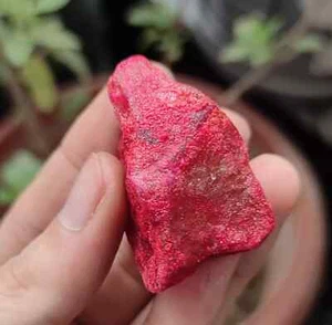 220 Ct Natural African Uncut Red Ruby EGL Certified Gemstone Rough 44x31x25 mm - Picture 1 of 4