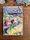 Bernese Adventure Jane Shawthe Childrens Pressdust Cover