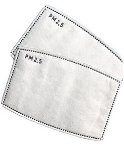 PM 2.5 FILTER X 10  For Cotton Reusable Face Mask - Picture 1 of 4