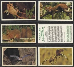 Full Set, Players Grandee, Britains Endangered Wildlife T32 1984 EX (Gl410-159) - Picture 1 of 1