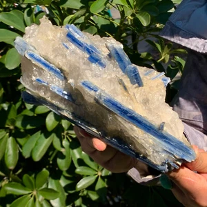 4.19LB Rare!! Natural beautiful Blue KYANITE with Quartz Crystal Specimen Rough - Picture 1 of 15