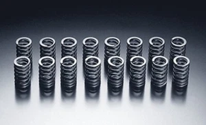 HKS Valve Springs Set 4G63 For: Mitsubishi Lancer Evo 4 5 6 7 8 9 - Afbeelding 1 van 1