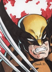 ORIGINAL X-Men - Wolverine 1/1 Hand Drawn Sketch Card ACEO Art - Bild 1 von 3