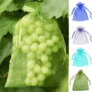 Fruit Protection Pest Control 50pcs Strawberry Grapes Anti-Bird Garden Netting - Picture 1 of 19