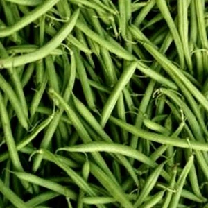 Frijoles - State Half Runner (tipo Bush a presión) - Imagen 1 de 1