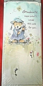 SEHR SÜSSE GELDKARTE ABSCHLUSS $ MIT TEDDYBÄR IN UMHANG & KLEID MIT DIPLOMA - Bild 1 von 3