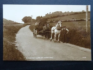 Sussex HORSE DRAWN LOGGING / TIMBER CART Country Life at Harting c1909 RP PC - Picture 1 of 3
