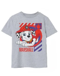 Paw Patrol Grey Character Short Sleeved T-Shirt Boys - Picture 1 of 24