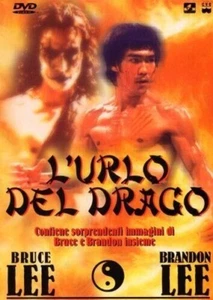Dragon's Cry (DVD) - Picture 1 of 1