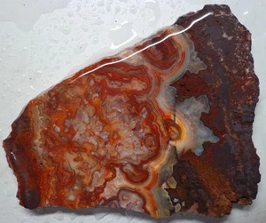 WRG - Mexican Crazy Lace Achatplatte 108 Gramm Mexico Lapidary Plume Moos - Bild 1 von 4