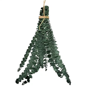 10 Pcs Eucalyptus for Shower Hanging Dried Eucalyptus Stems 17" Real Eucalyptus - Foto 1 di 12