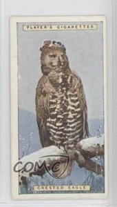 1924 Player's Natural History Tobacco Crested Eagle #14 0w8f - Picture 1 of 3