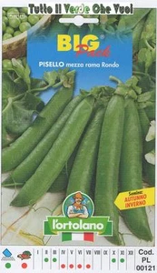PISELLO MEZZA RAMA RONDO 'BIG PACK - SEMI ORTICOLI - - Picture 1 of 1