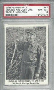 1965 Fleer Gomer Pyle card #47 Smiling King Snake, Jim Nabors PSA 8