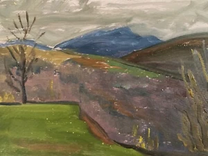 Sehr schönes Gemälde auf Karton 1950 Fauve Fauvismus Landschaft Berg Baum Kunst - Bild 1 von 6