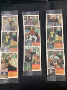 1993 Milkbone Baseball Card Lot (01) - Picture 1 of 1