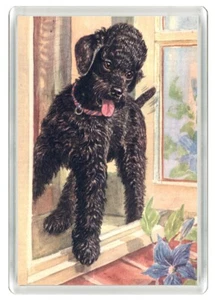 POODLE LOVELY DOG ART PRINT NOVELTY FRIDGE MAGNET GREAT GIFT - Foto 1 di 1